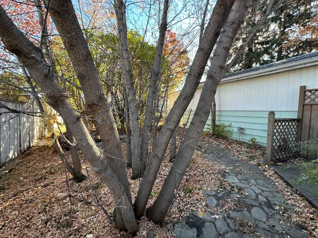 46 46 Street, #4516