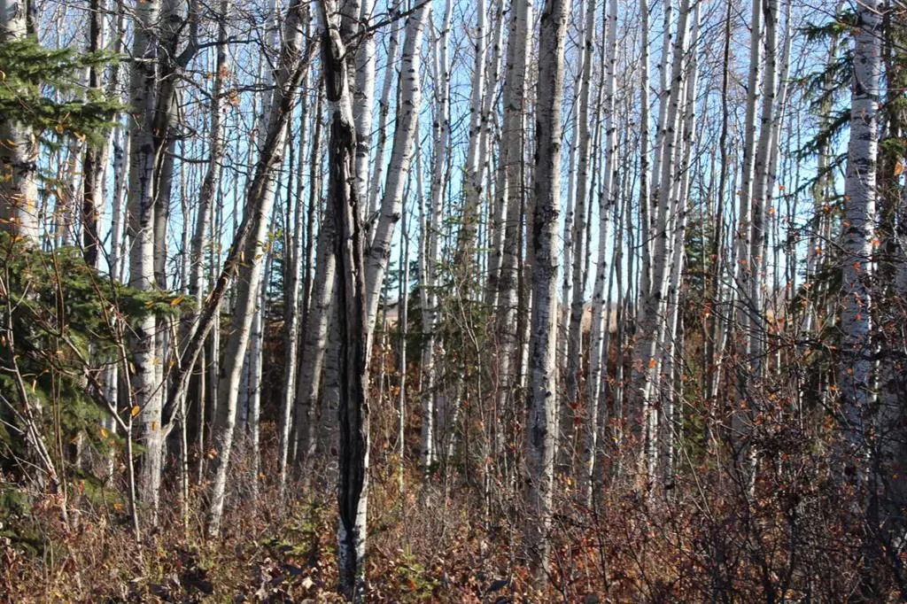 Range Road 222, #913007