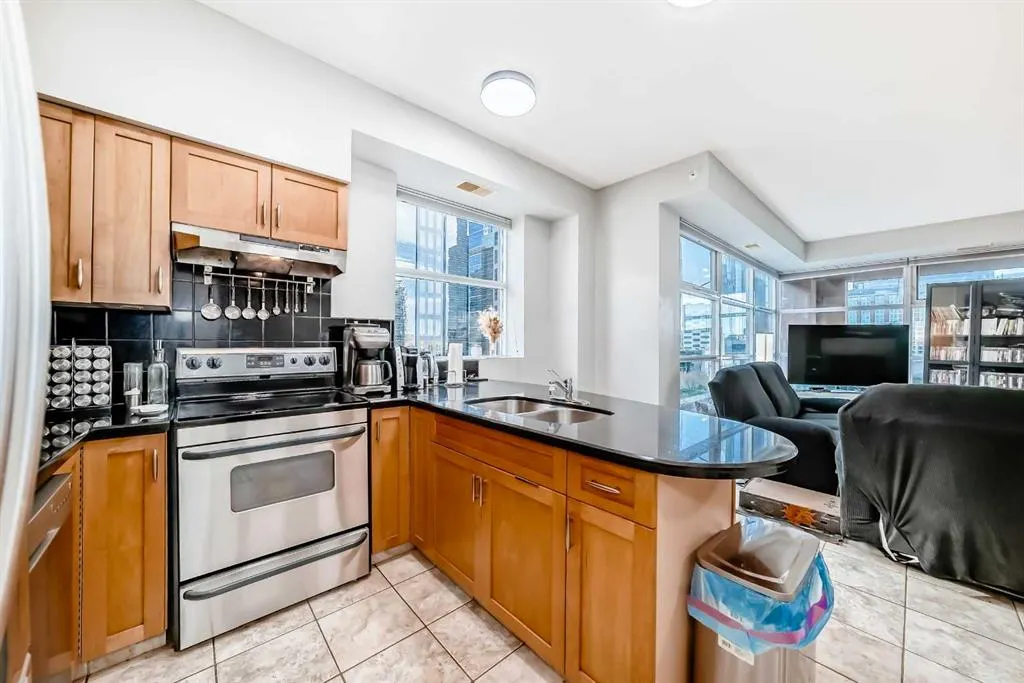 205 Riverfront Avenue SW, #509