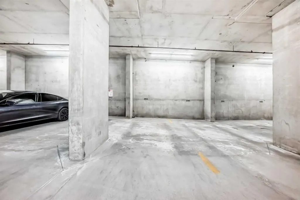 205 Riverfront Avenue SW, #509