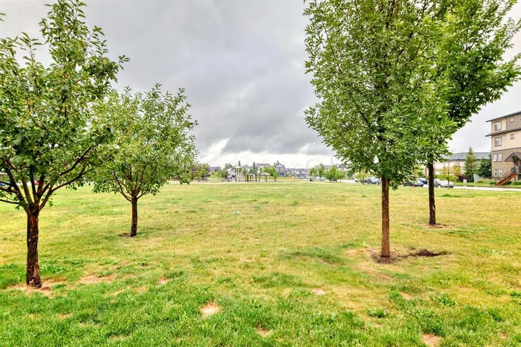 227 Copperpond Common SE