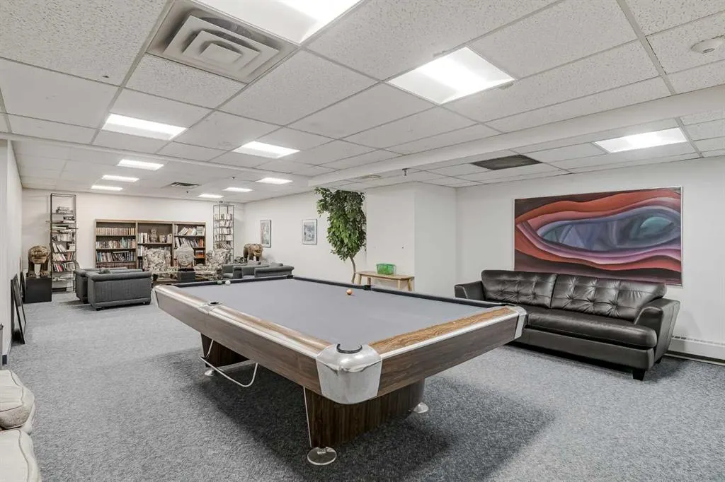 1100 8 Avenue SW, #507