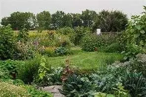 264169 Range Road 273