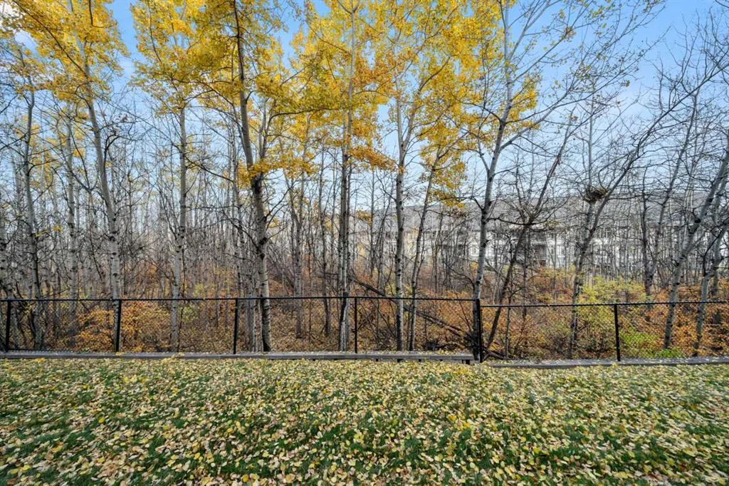 211 Aspen Stone Boulevard SW, #1111