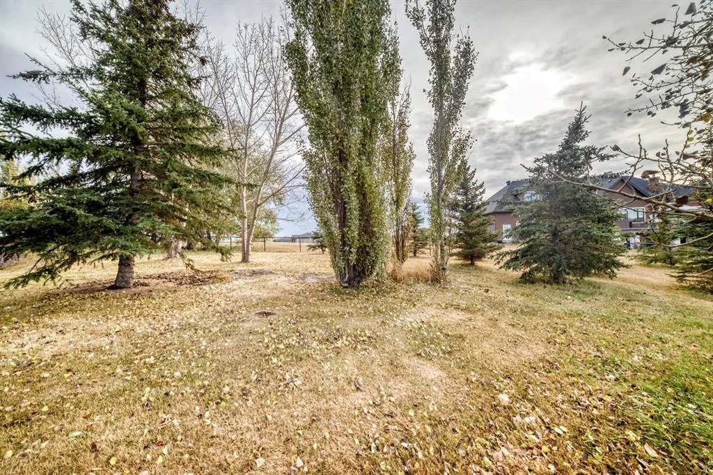 7 Stage Coach Meadow