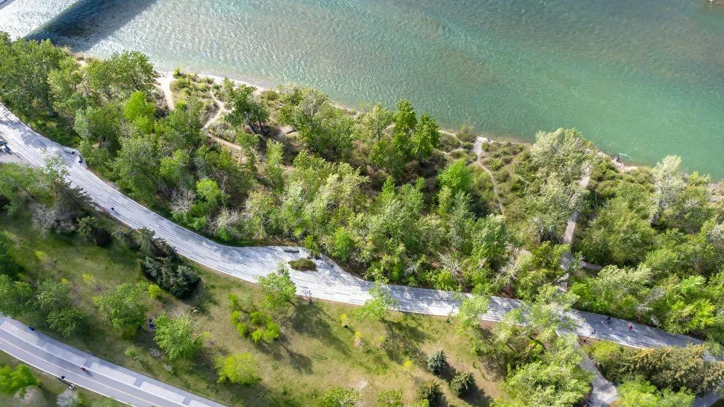 804 3 Avenue SW, #1201