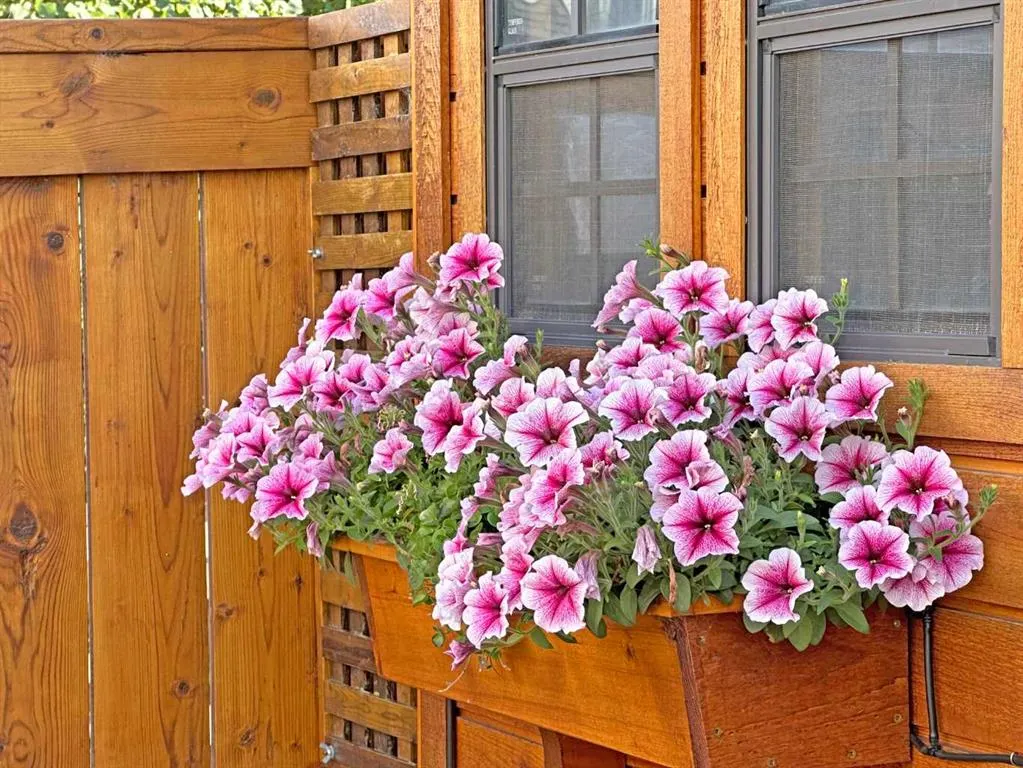 85 Bridleridge Road SW