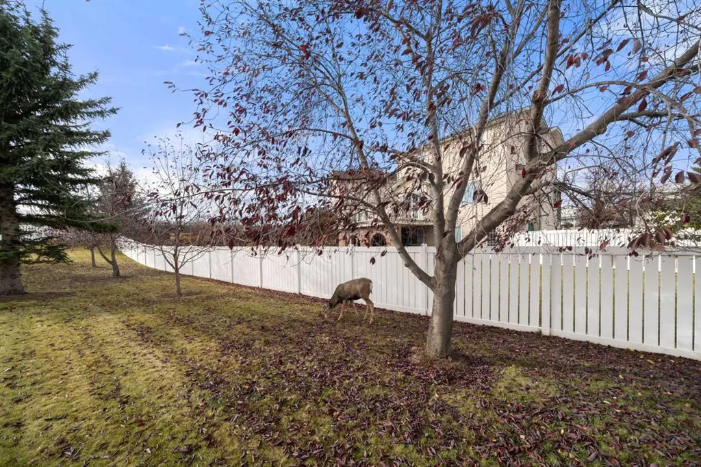 634 Sheep River Mews