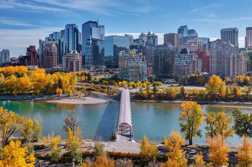 738 1 Avenue SW, #412