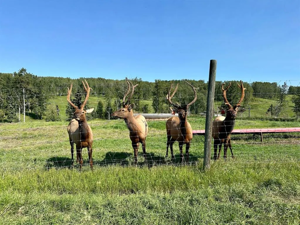 583030B Range Road 121