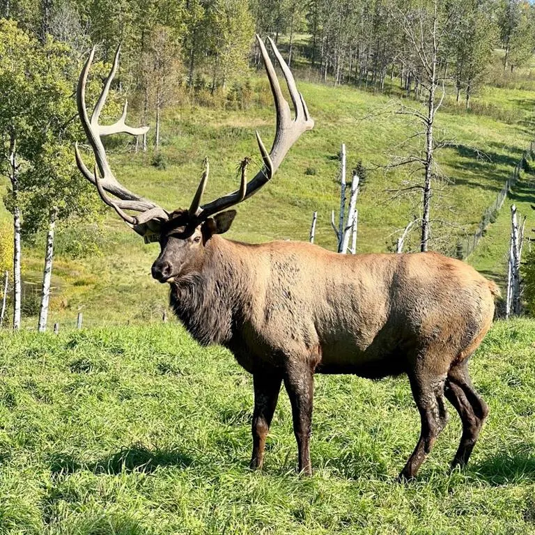 583030B Range Road 121