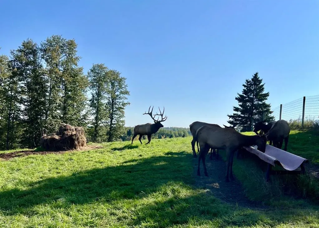 583030B Range Road 121