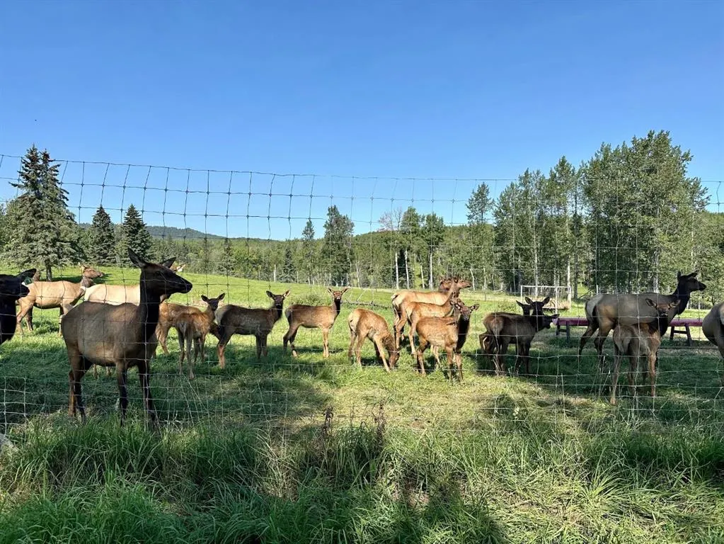 583030B Range Road 121