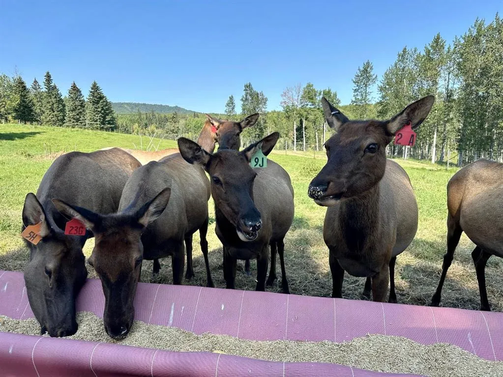 583030B Range Road 121