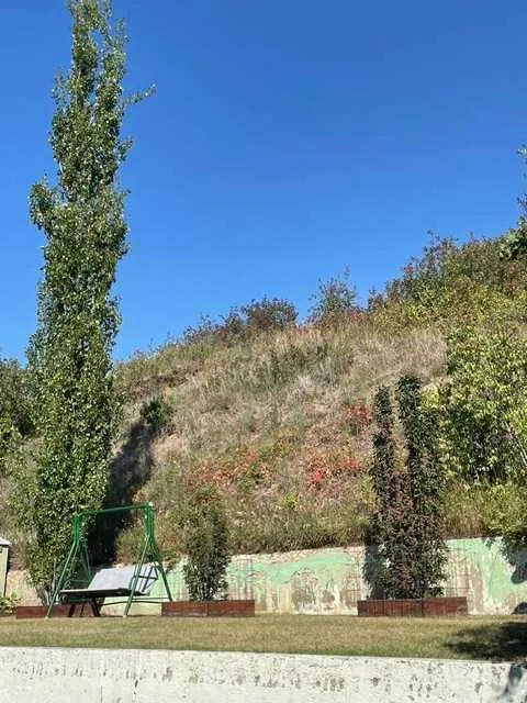 11409 103 Street Street