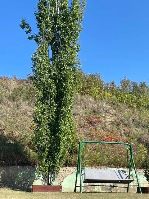 11409 103 Street Street