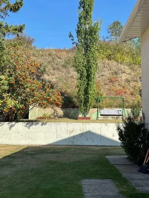 11409 103 Street Street