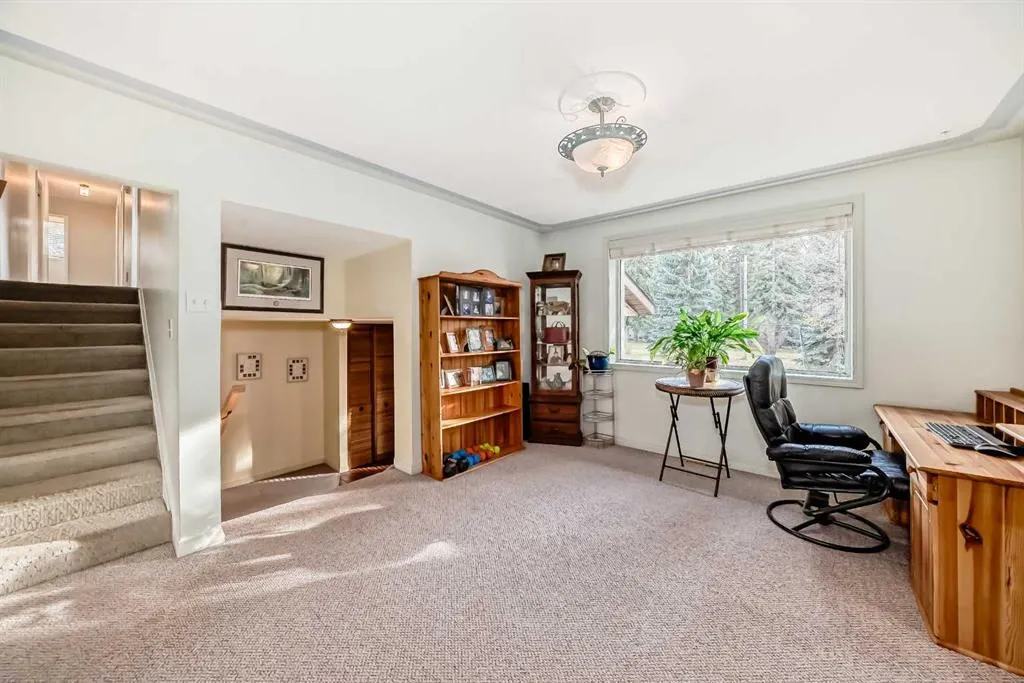 17 College Park Place