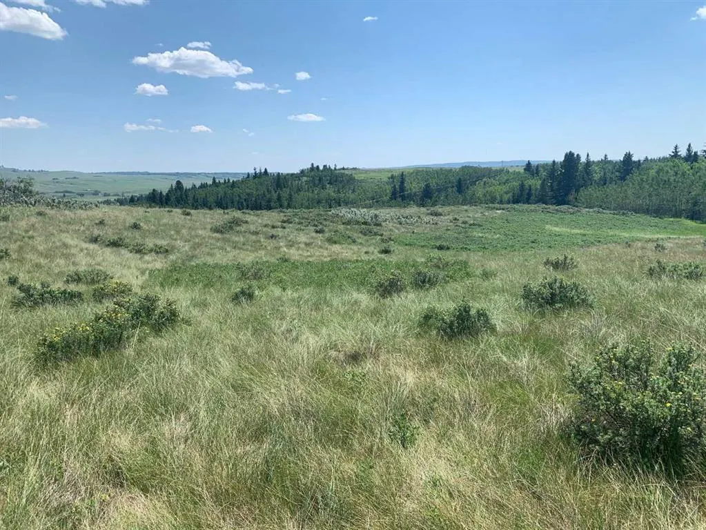 75.50 Acres North Springbank  5;3;25;28;SE
