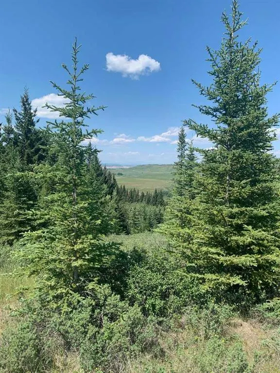 75.50 Acres North Springbank  5;3;25;28;SE
