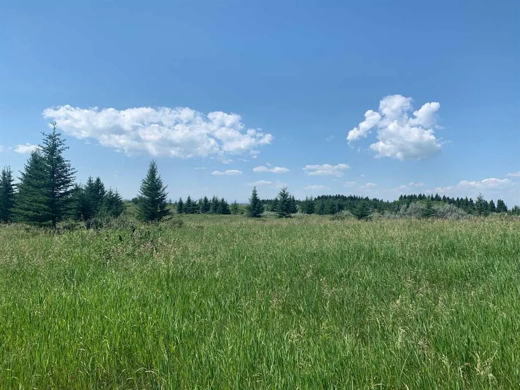 75.50 Acres North Springbank  5;3;25;28;SE
