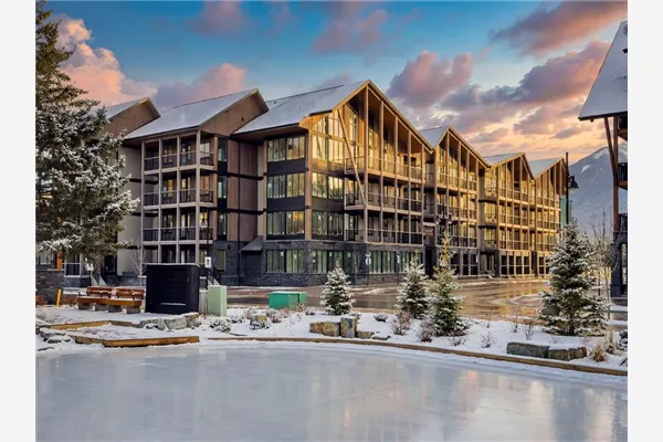 1408 Spring Creek Gate #313