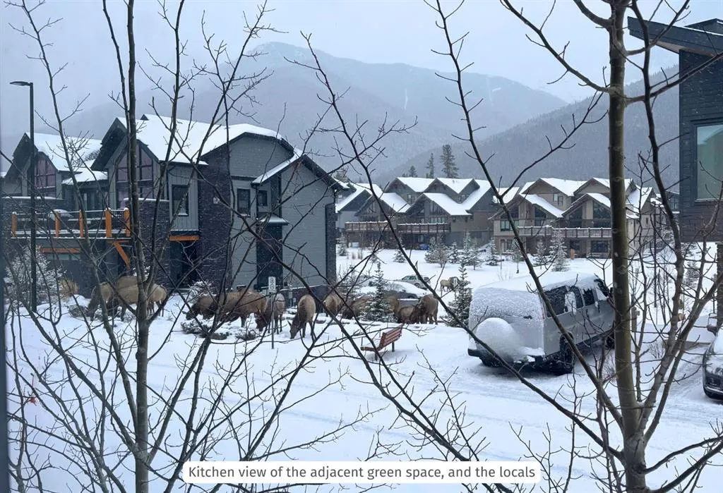 209 Stewart Creek Rise #201G