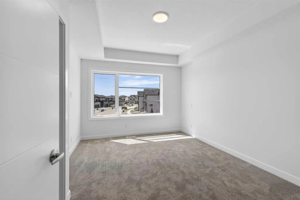 1113 Sailfin Heath