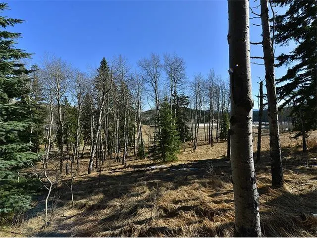 15 Kicking Horse Way