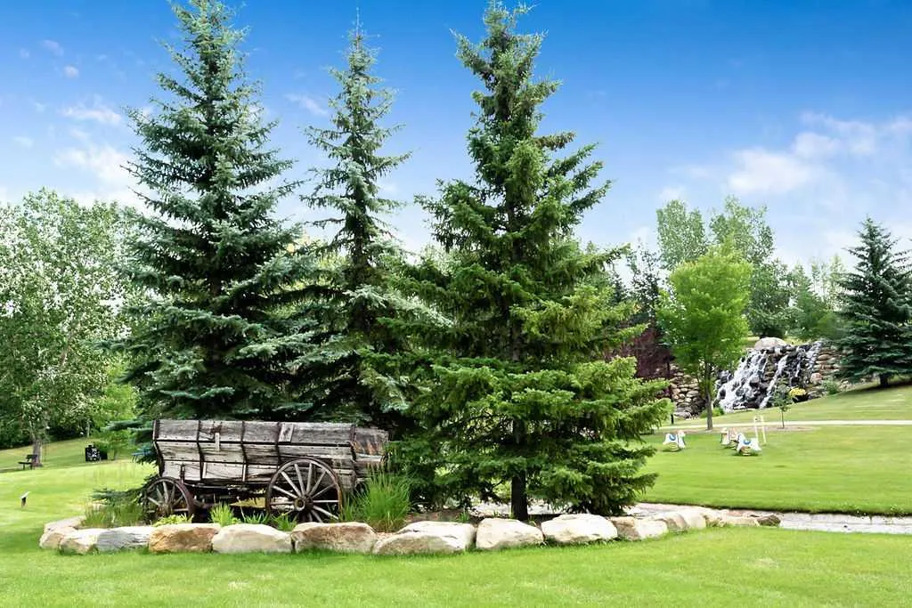 428 Chaparral Ravine View SE #322