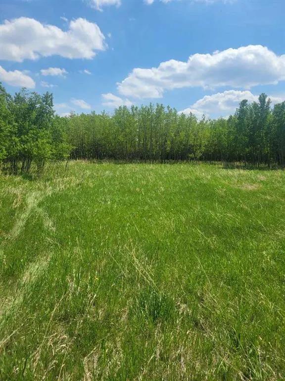 24166 Old Banff Coach Road