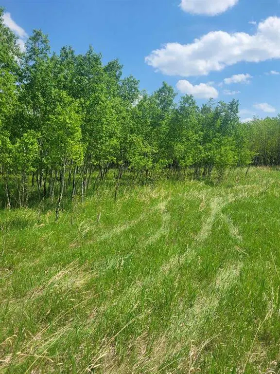 24166 Old Banff Coach Road