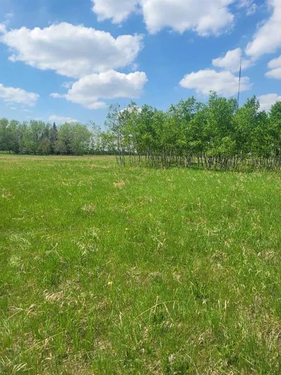 24166 Old Banff Coach Road