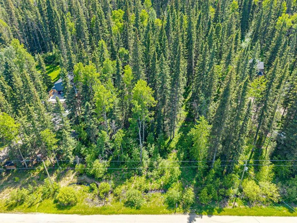 229 Mountain Lion Drive