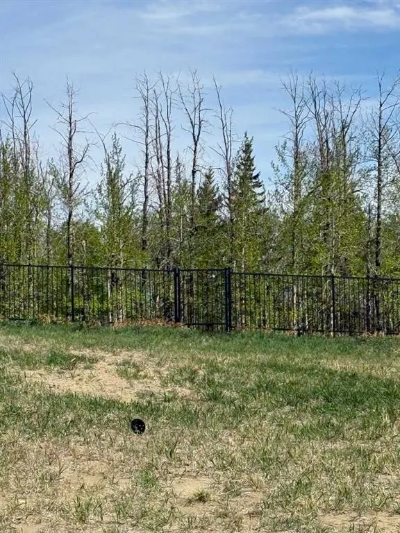12 Vanson Close