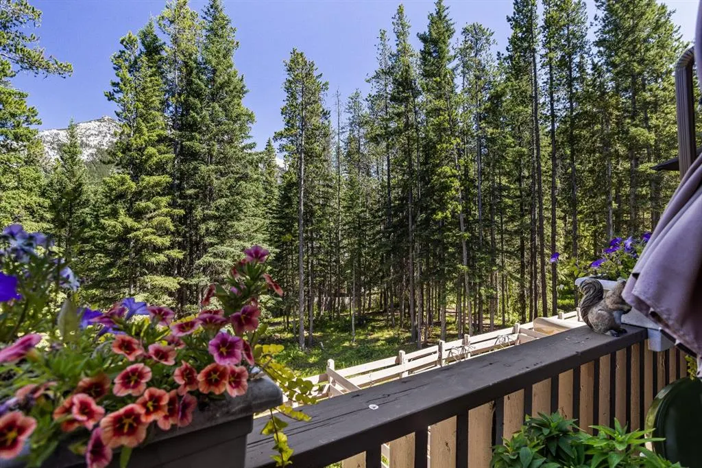 246 Kluane Drive