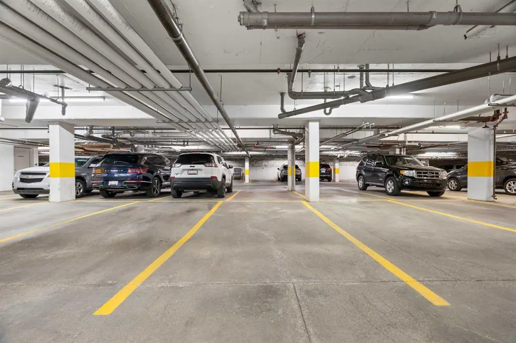 28 Auburn Bay Link SE #411