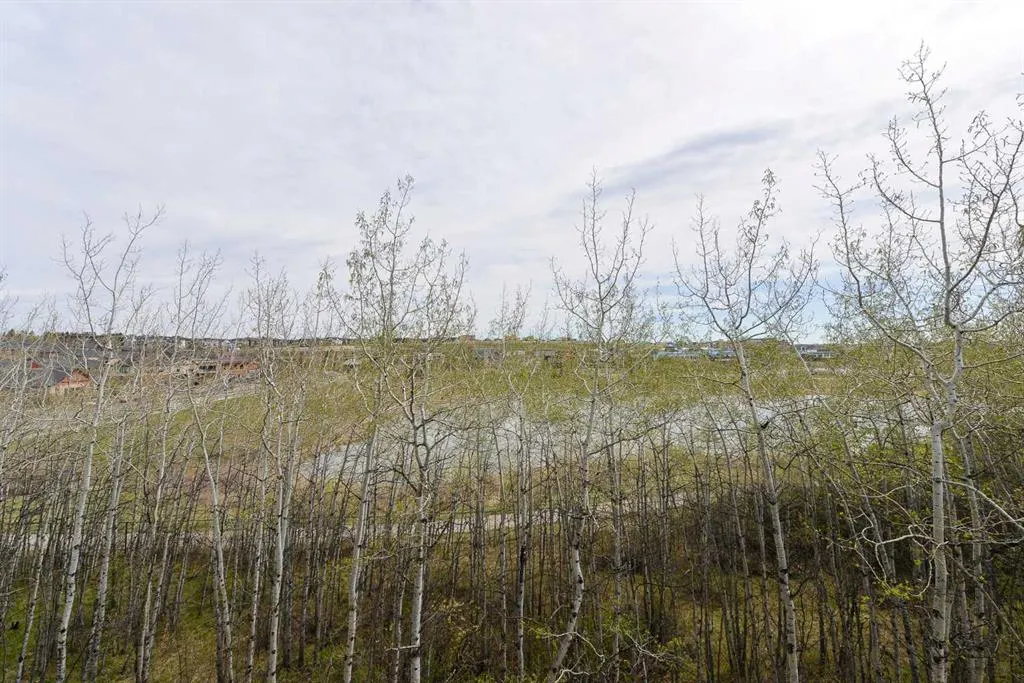 45 Aspenmont Heights SW #213