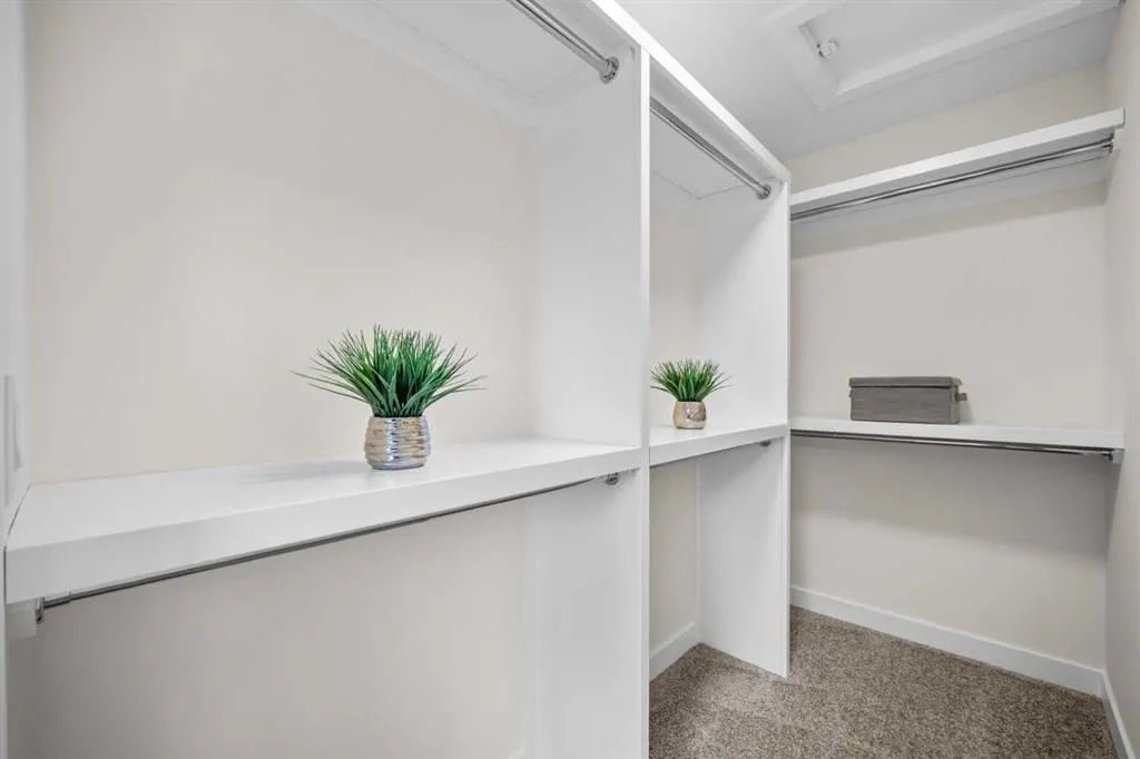 305 Precedence View