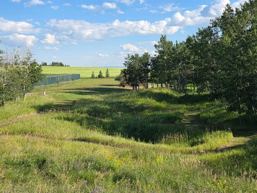 Hwy 783 Rural Foothills County