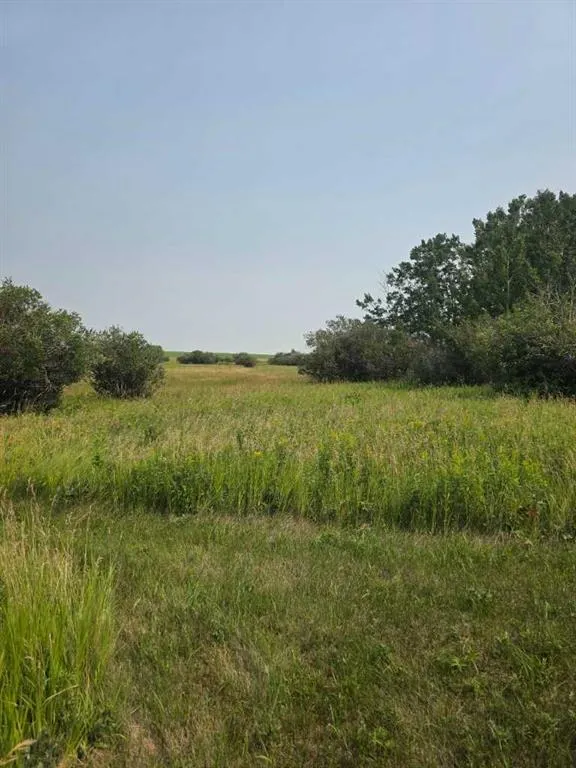 Hwy 783 Rural Foothills County