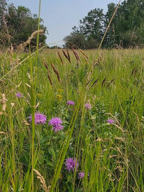Hwy 783 Rural Foothills County