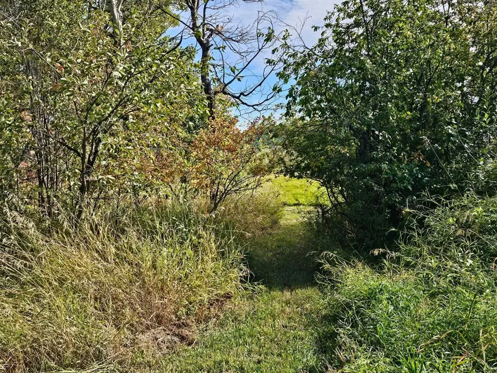 Hwy 783 Rural Foothills County