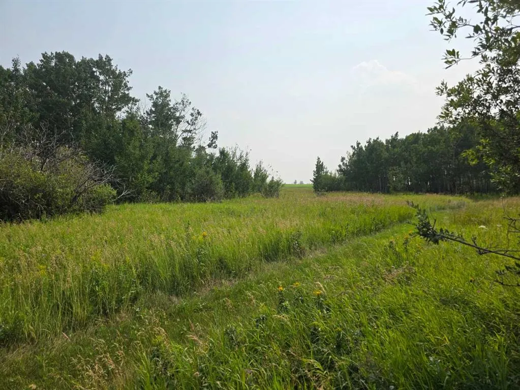 Hwy 783 Rural Foothills County