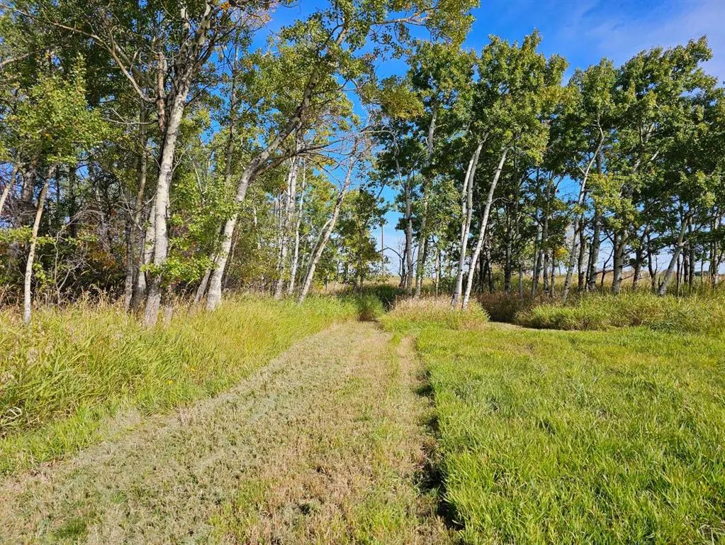 Hwy 783 Rural Foothills County