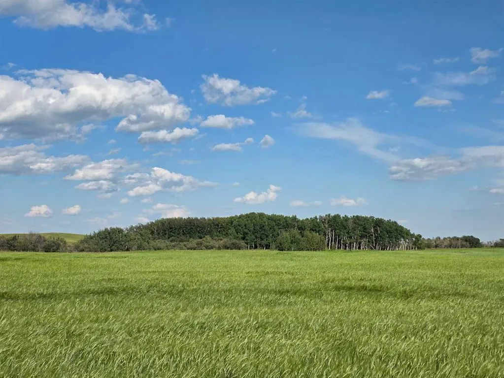 Hwy 783 Rural Foothills County