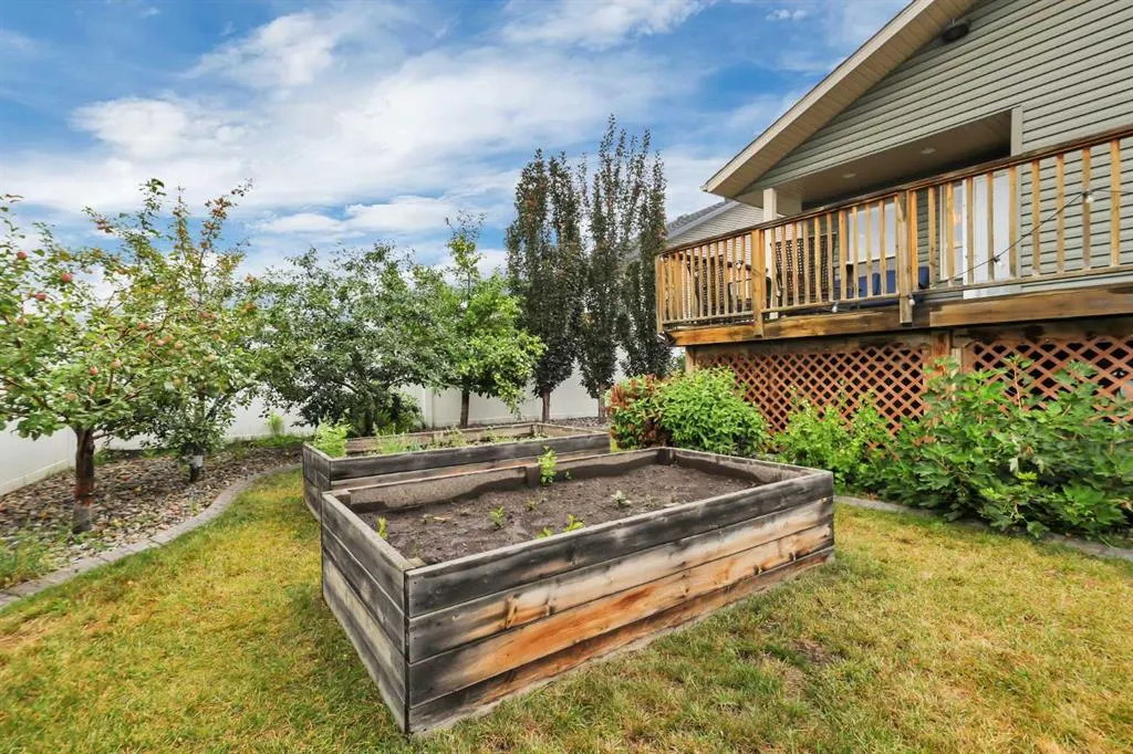 203 Cedar Square