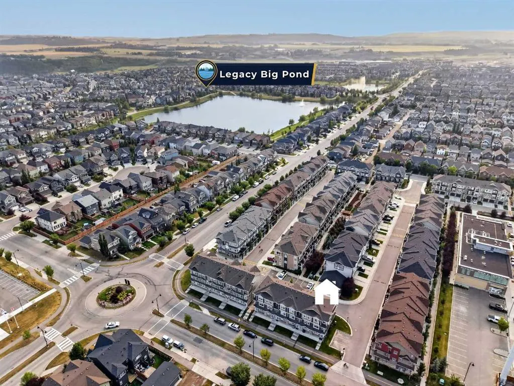 87 Legacy View SE