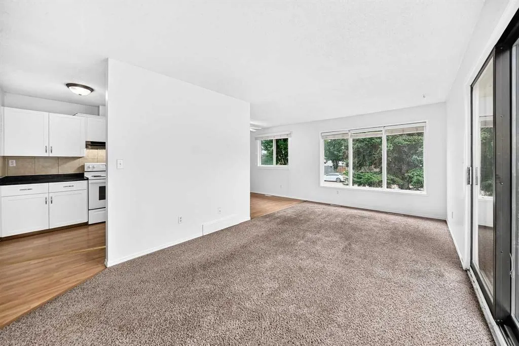 28 Woodland Drive