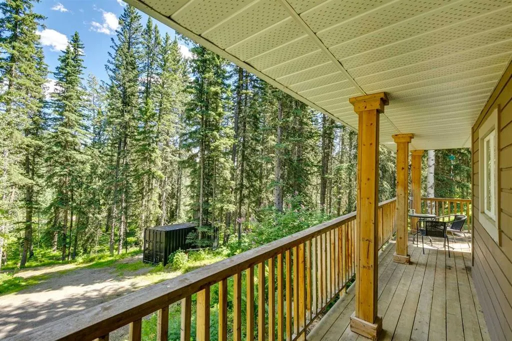 241 Mountain Lion Drive